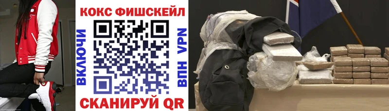 купить наркотики сайты  Новоалтайск  Cocaine Fish Scale 