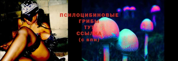 spice Липки