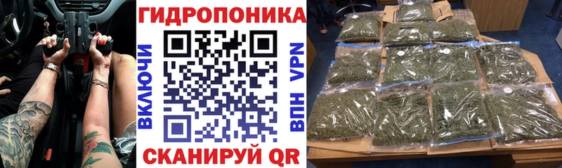 купить закладку Новоалтайск блэк спрут ссылки Марихуана Amnesia